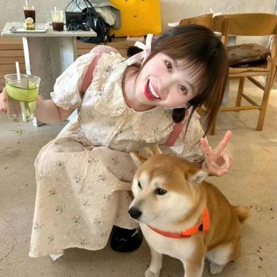 我的怪人父母